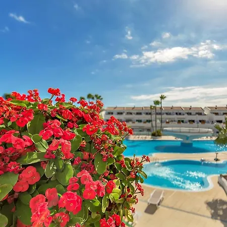 Parque Don Jose In South Of Tenerife